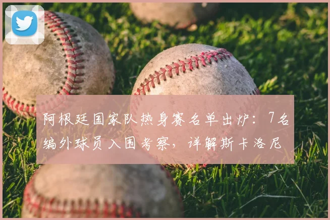 阿根廷国家队热身赛名单出炉：7名编外球员入围考察，详解斯卡洛尼2026世界杯梯队建设思路
